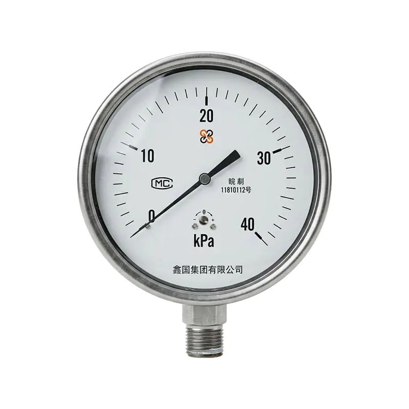 XG/YE-100B paslanmaz çelik diyafram kutusu basınç göstergesi